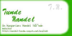 tunde mandel business card